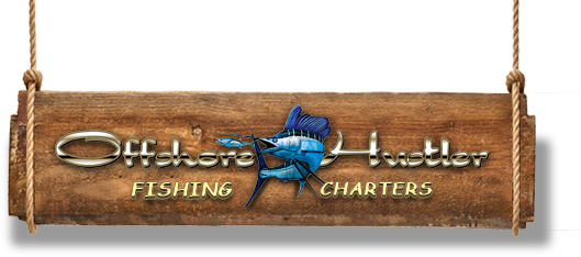 Offshore Hustler Fishing Charter